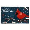 Briarwood Lane Coir Doormat 30x18 Cardinal Winter Natural Fiber For Winter Coir Doormat - 3 of 3