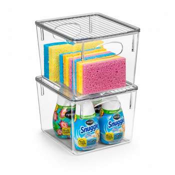 Sorbus 2 Pack Medium Clear Plastic Storage Bins with Lids and Handles for Cleaning Supplies - Conquer Clutter, Enhance Organization and Style