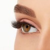 Ardell Professional 3D Fauxmink - 859 (3 packs) - 3 of 3
