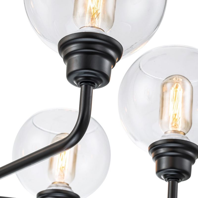 C Cattleya 6-Light Black Chandelier with Clear Glass Globes, 5 of 8