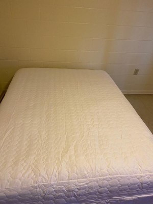 All-in-one Mattress Protector Cover With Zippered Bed Bug Blocker - Fresh  Ideas : Target