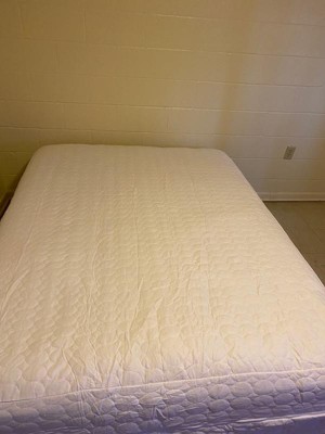 Waterproof Bed Bug Dust Mite Cotton Mattress Protector - Bluestone® : Target