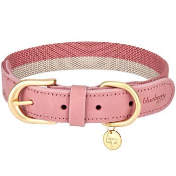 Blueberry Pet Polyester and Leather Dog Collar