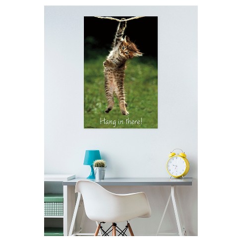 Image result for hang in there kitten poster on wall