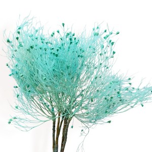 Alilang Decorative Dried Ming Fern Stems for Elegant Home Decoration and Creative Floral Arrangements, 19.5 Inches - 1 of 3