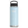 Thermos® Icon™ 40-Oz. Stainless Steel Dual-Temperature Beverage Bottle in Blue - 2 of 4