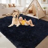 Fluffy Area Rug- Shag Area Rug for Living Room, Shaggy Large Indoor Thick Living Room Carpet with Non-Slip Backing, Soft Plush Carpet - 4 of 4