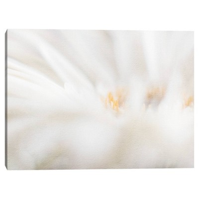 33" x 25" Abstract Daisy by Elizabeth Kay Framed Wall Canvas - Masterpiece Art Gallery