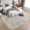 Acekool Modern Washable Area Rug, Soft Non Slip Minimalist Low Pile Carpet for Living Room, Bedroom, Dorm - 2 of 4