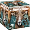 MasterPieces 100 Piece Jigsaw Puzzle - Rocky Mountain Bighorn Sheep - 11.37"x11.41" - 2 of 4