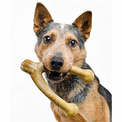 Pet Qwerks Wish BarkBone For Aggressive Chewers, Peanut Butter, Large