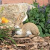 Design Toscano Bashful, the Bunny, Lying Down Garden Rabbit Statue: Set of Two - 2 of 4