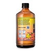 Health-Ade Organic Mango Lemonade Kombucha - 16 fl oz - 3 of 4