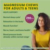 MegaFood Magnesium Supplement with Magnesium Citrate & Malate, Grape Soft Chew, Vegetarian - 30ct - 4 of 4