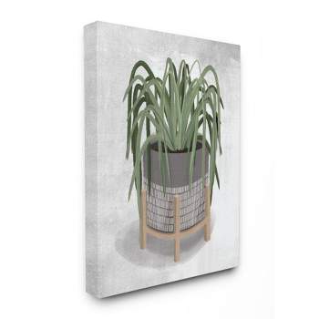 Stupell Industries Friendly Spider Plant Grey Green Painting