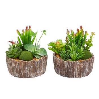 Pure Garden Set of 2 Faux Succulents Assorted 8" Tall - Greenery Arrangements in Decorative Concrete Planters for Indoor Home or Office