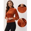 Allegra K Women's Velvet Crew Neck Puff Long Sleeve Rib Velour Blouse - 2 of 4