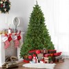 Northlight 7.5' Pre-Lit Artificial Christmas Tree Pike River Fir - Multi-Color LED Lights - 2 of 4