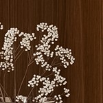 natural wood