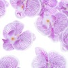 Unique Bargains Silk Plastic Durable Handcrafted Artificial Orchid Flower Heads 20 Pcs - 2 of 4