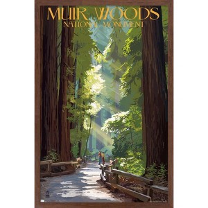Trends International Lantern Press - Muir Woods Pathway Framed Wall Poster Prints - 1 of 4