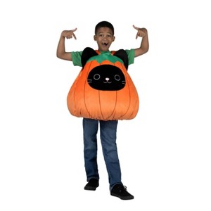Squishmallows Youth Calio the Cat Halloween Costume One Size Fits Most - 1 of 4