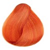 L'oreal Technique Excellence HiColor HiLights Red Highlights for Dark Hair Only - COPPER | Loreal Haircolor Dye Hair Color - 3 of 3