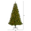 Nearly Natural 6-ft Mount Hood Spruce Artificial Christmas Tree with 300 Warm White Lights and 673 Bendable Branches - 2 of 4