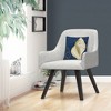 Decorative Throw Pillow_5 by Trademark Fine Art - 3 of 4