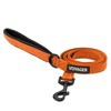 Voyager Dual-Attachment No-Pull Dog Harness with 6ft Leash Combo  - 4 of 4