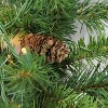 Northlight Pre-Lit  Pine Commercial Artificial Christmas Garland - 50' x 12" - Warm White LED Lights - 2 of 2
