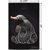 Trends International Fantastic Beasts: Crimes Of Grindelwald - Niffler Unframed Wall Poster Prints - 3 of 4