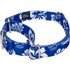 Country Brook Petz Royal Blue Hawaiian Martingale Dog Collar - image 4 of 4