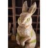 Resin Garden Rabbit 23"H – Shabby Chic Outdoor Bunny Statue by Kalalou - 3 of 4