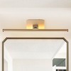 Parrot Uncle 15.75'' Modern Battery-powered Picture Light Mirror Light Ceiling Light - 4 of 4