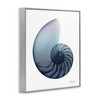 Stupell Industries Contemporary Nautilus Shell, 11" x 14" - 3 of 4