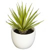 Decorative Agave Plant Set of 3  Modern Home Decor  Living Room, Office, Tabletop Plants - 2 of 4