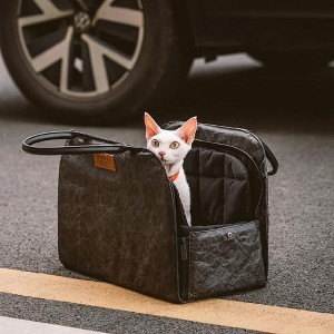 FUNNY FUZZY Orthopedic Dog Bed for Small Dogs - 1 of 1