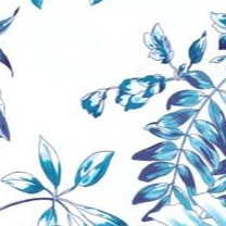 white turquiose tropical