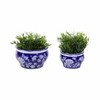 Sagebrook Home 2pc Chinoisere Ceramic Indoor Outdoor Planter Pots Blue/White: Hand-Painted, Rust-Resistant, No Assembly Required - 2 of 4