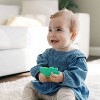 Dr. Brown's AquaCool Water-Filled Teethers - Houseplant - 2pk - 3 of 4