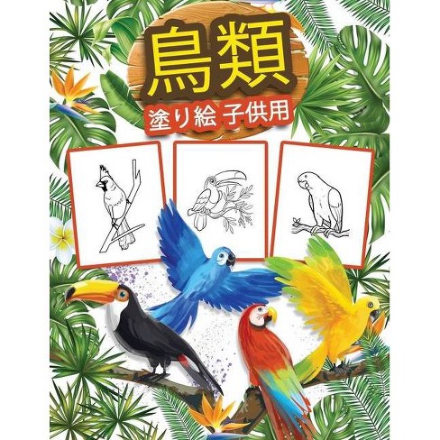 子供のための鳥の塗り絵 By Kkarlajp Paperback Target