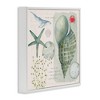Stupell Industries Sea Shell Inspirational Collage, 24" x 24" - 3 of 4