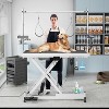 KTMBDW Professional Electric Dog Grooming Table - Heavy Duty, Height Adjustable w/Grooming Arm & Anti Slip Tabletop/Dog Grooming Station - 2 of 4