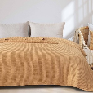 50"x60" Cotton Waffle Knit Throw Blanket - Isla Jade - 1 of 4