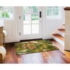 Liora Manne Marina Tropical Indoor/Outdoor Rug.. - 2 of 4