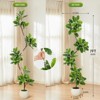 Garvee Fiddle Leaf Fig Tree Artificial Indoor, Faux Rubber Tree with Sphere Planter, Tall Artificial Plants with Moss for Home Decor Office - 4 of 4