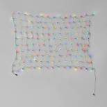 4'x6' Concave LED Christmas Net String Lights with Green Wire - Wondershop™
