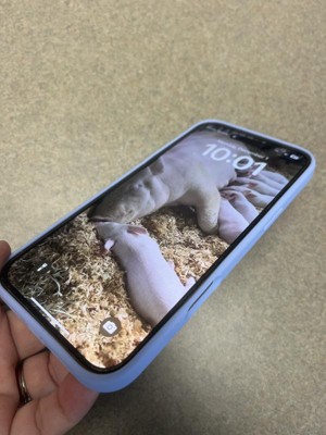 Guest review image 3 of 4, zoom in