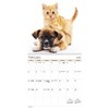 Trends International 2026 Buddies 12"x12" Wall Calendar - 3 of 4